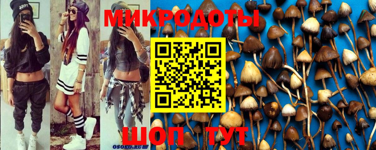 Псилоцибиновые грибы ЛСД  Вход с VPN  что такое наркотик  Курганинск 